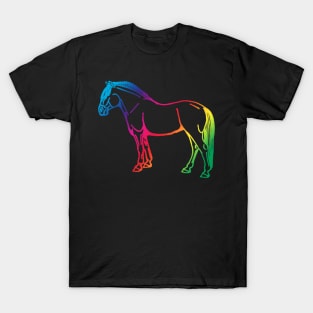 rainbow fjord T-Shirt